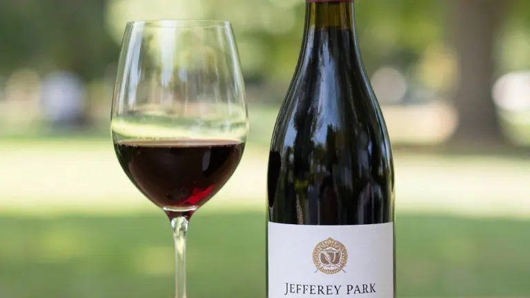 Illustration for: Rapper Common Unveils Pinot Noir Named After Chicago Park
